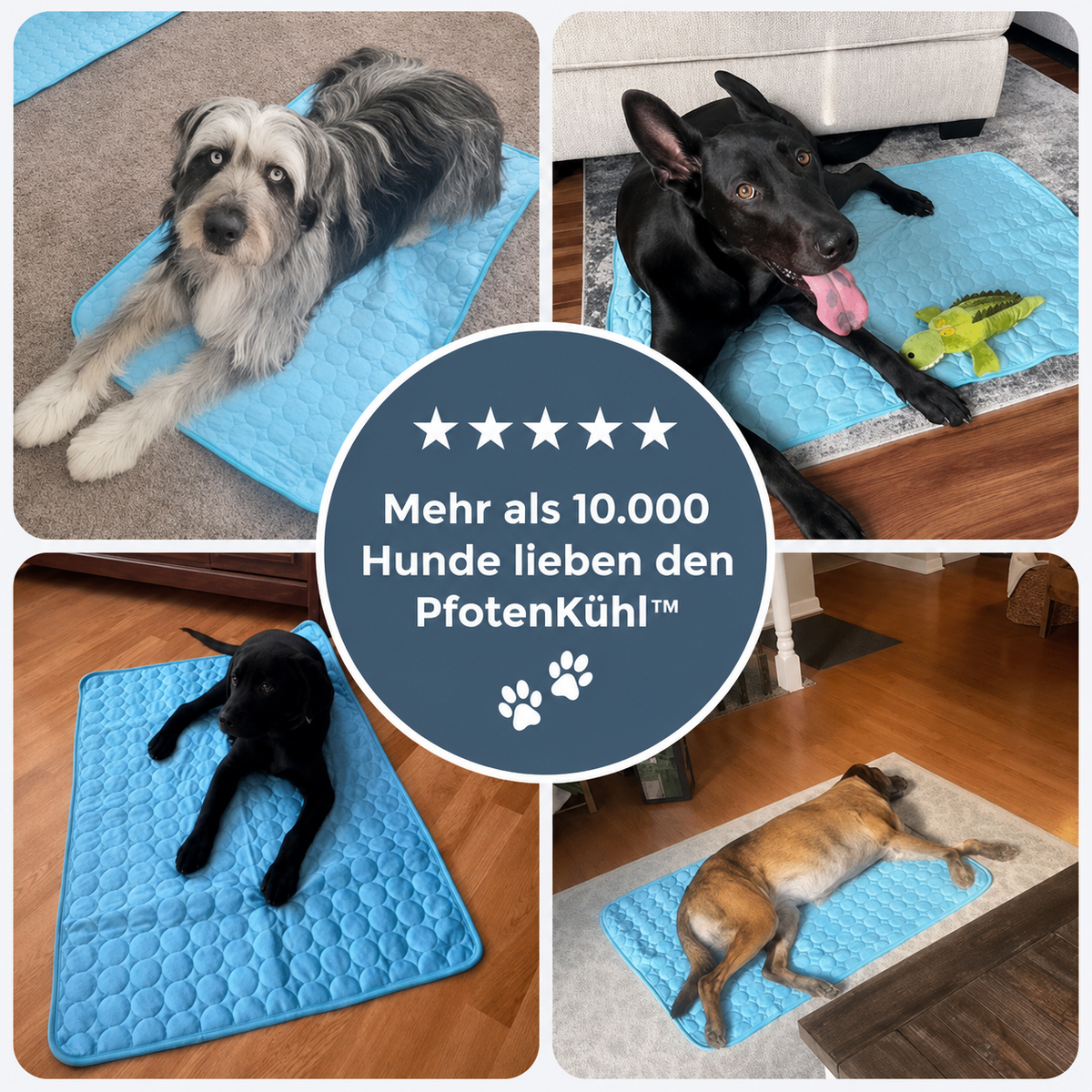 PfotenKühl™ Kühlmatte für Hunde – Schutz vor Sommerhitze